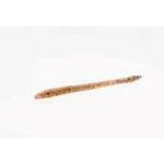 Zoom Finesse 4.75' 20-bag Pumpkin - HookMeUp