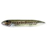 Heddon Preminum Super Spook Jr 1-2 Florida Bass - HookMeUp