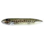 Heddon Preminum Super Spook 5' 7-8 Florida Bass - HookMeUp