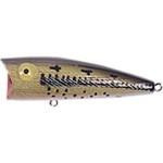 Rebel Magnum Pop-R 1-2 Baby Bass - HookMeUp