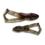 Stanley Ribbit Frog 3.5' 5ct Gold Pepper Shiner - HookMeUp