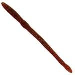 Creme Scoundrel 6' 4ct Red Bug - HookMeUp