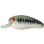 Bomber Model Flat A 3-8 Baby Bass Orange - HookMeUp