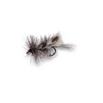 Betts Dons Grasshopper 2ct - HookMeUp