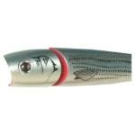 Creek Chub Knuckle Head 5' Baby Striper - HookMeUp