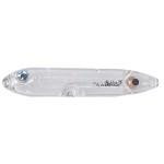 Heddon Dressed Super Spook Jr Clear - HookMeUp