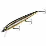 Smithwick Perfect 10 Rogue 5.5' Chrome Black-Orange Belly - HookMeUp