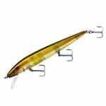 Smithwick Perfect 10 Rogue 5.5' Gold Rogue - HookMeUp