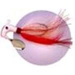Blakemore Road Runner Bucktail 1oz 6-0 White-Red-White - HookMeUp