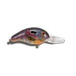 Bandit Lure 2-5' 2' 1-4oz Sun Perch - HookMeUp