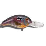 Bandit Lure 4-8' 2' 1-4oz Sun Perch - HookMeUp