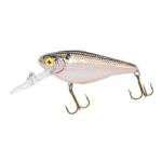Cordell CC Shad 1-3 Arkansas Shad - HookMeUp