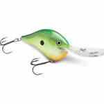 Rapala DT 20' Series Rasta - HookMeUp