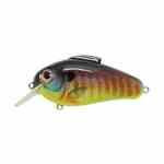 Bill Lewis Echo 1.75 Sunrise Perch - HookMeUp
