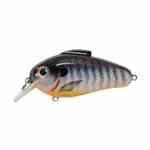 Bill Lewis Echo 1.75 Blueberry Peach - HookMeUp