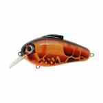 Bill Lewis Echo 1.75 Pinch'n Peach - HookMeUp