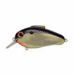 Bill Lewis Echo 1.75 Gold Shad - HookMeUp