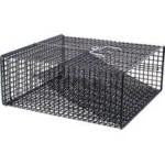 Frabill Crawfish Trap-Flat Bottom - HookMeUp