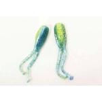 Gene Larew Slab Dockt'R 2.5' 12ct Bluegrass - HookMeUp