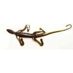 Gene Larew Biffle-O-Lizard 8.5' Green Pumpkin Neon - HookMeUp