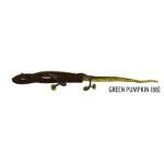 Gene Larew Biffle-O-Lizard 8.5' Green Pumpkin - HookMeUp