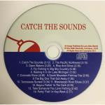 Catch the Sounds Music CD by Larry Merritt - HookMeUp