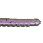 Net Bait C-Mac 11' 9bg Table Rock Red - HookMeUp