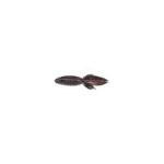 Net Bait Mini B Bug 12bg Black Neon - HookMeUp