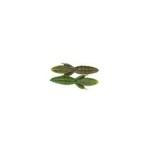 Net Bait Mini B Bug 12bg Green Pumpkin-Watermelon - HookMeUp