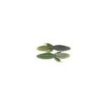 Net Bait Mini B Bug 12bg Sprayed Grass - HookMeUp