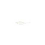 Bass A Tiny Shad 1.5' 15ct Alewife - HookMeUp