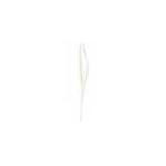 Bass A Shad Assassin 5' 10ct Alewife - HookMeUp