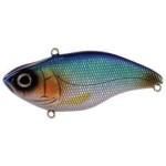 Spro Aruku Shad Jr  60 Blue Shiner - HookMeUp